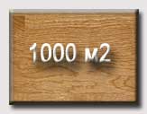 с 2005 года